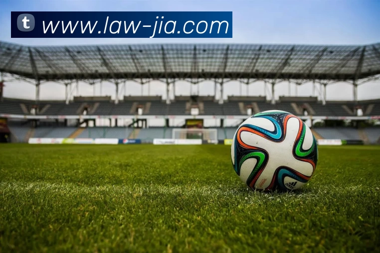 巅峰国际官网 - 追求健康,你我一起成长平台生态图